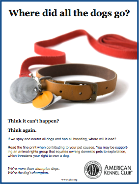 breeder havanese california