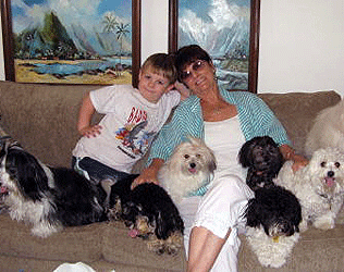 Queen Creek Havanese Puppies For Sale