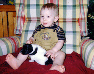 Gilbert Havanese Puppies For Sale