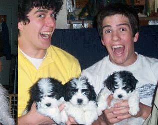 Scottsdale Havanese Puppies