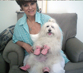 Chandler Havanese Puppies