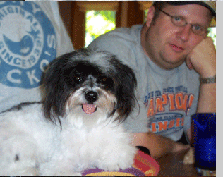 Scottsdale Havanese Puppies